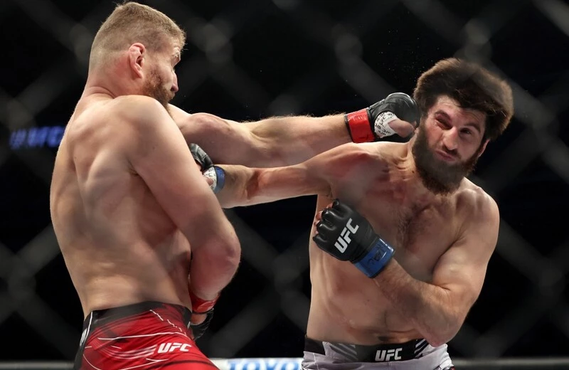 Jan Blachowicz of Poland punches Magomed Ankalaev of Russia in their UFC light heavyweight championship fight during the UFC 282 event. The Ankalaev vs Walker Prediction for their UFC 294 bout is ready.