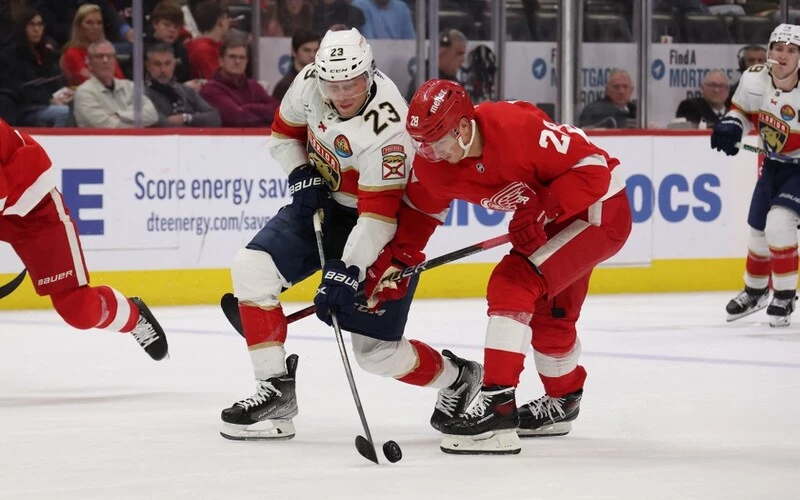 Carter Verhaeghe #23 of the Florida Panthers tries to get around Gustav Lindstrom #28 of the Detroit Red Wings during the third period at Little Caesars Arena on January 06, 2023 in Detroit, Michigan. Florida won the game 3-2. The Panthers vs Red Wings Odds are set for tonight's game.